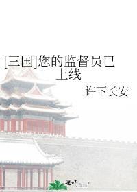 [三国]您的监督员已上线封面
