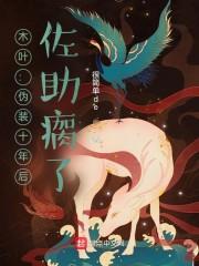 木叶：伪装十年后，佐助瘸了封面