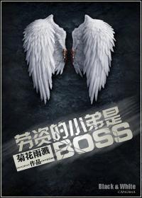 劳资的小弟是BOSS（系统）封面