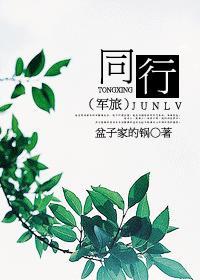 同行（军旅）封面