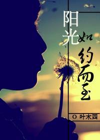 阳光如约而至封面