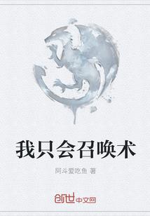 我只会召唤术封面