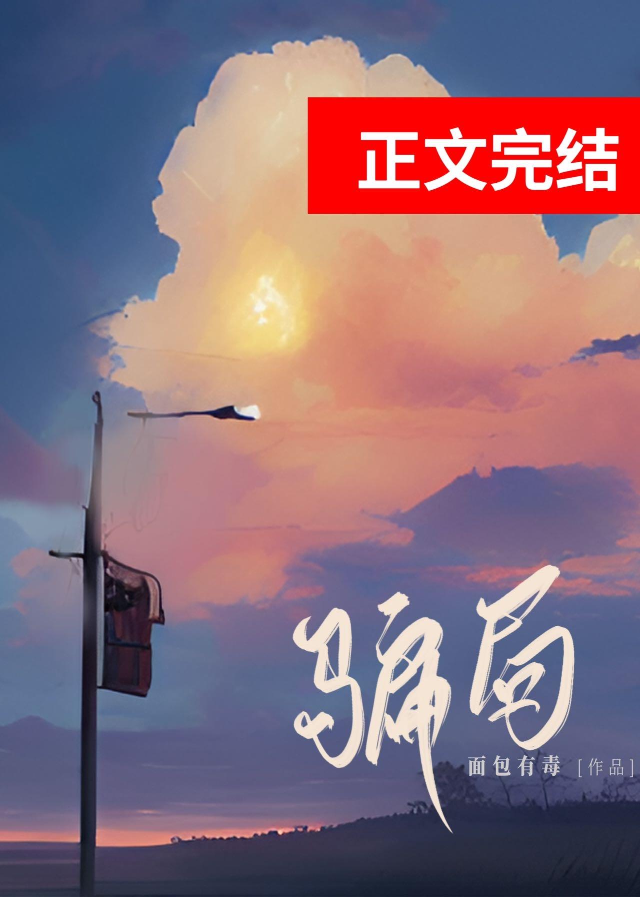 骗局封面