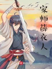 家师薛衣人封面