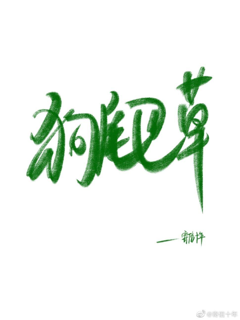 狗尾巴草封面