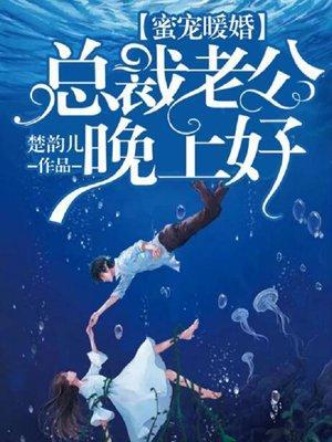 蜜宠暖婚：总裁老公晚上好封面