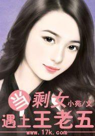当剩女遇上王老五封面