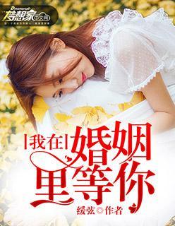 我在婚姻裏等你封面