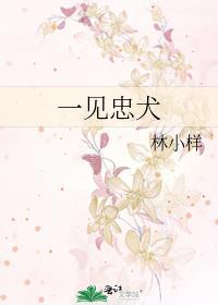 一见忠犬封面