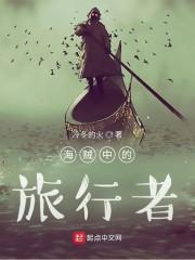 海贼中的旅行者封面