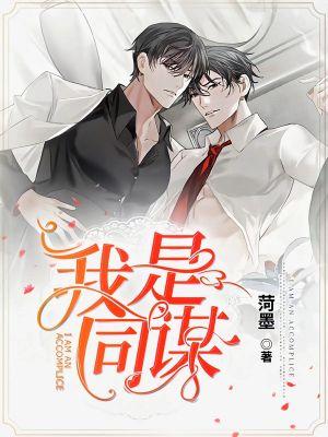 我是同谋封面