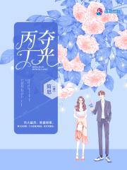 丙夺丁光封面
