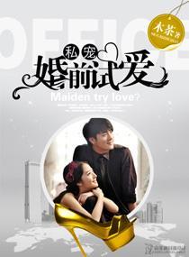 私宠--婚前试爱封面