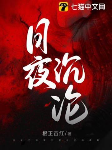 日夜沈沦封面