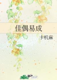 佳偶易成封面