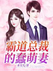 叶清欢邵允琛封面