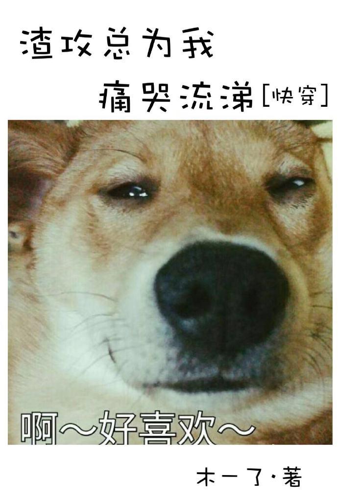 渣攻总为我痛哭流涕[快穿]封面