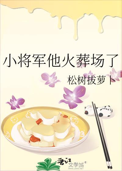 小将军他火葬场了封面