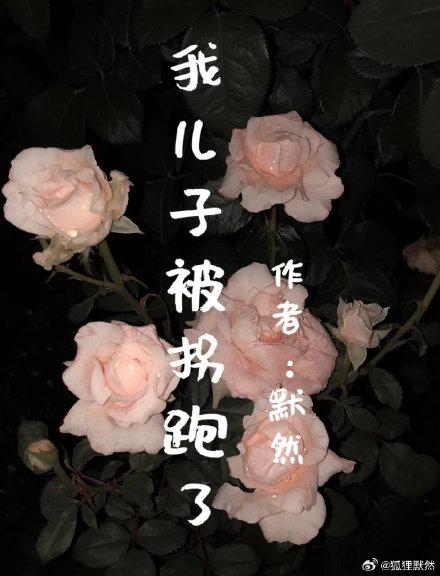 我儿子被拐跑了封面