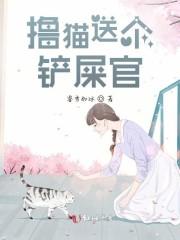 撸猫送个铲屎官封面
