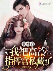 联姻后，我把高冷指挥官私藏了封面