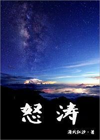 怒涛封面