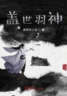 盖世羽神封面