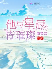 他与星辰皆璀璨夏星辰白夜擎封面