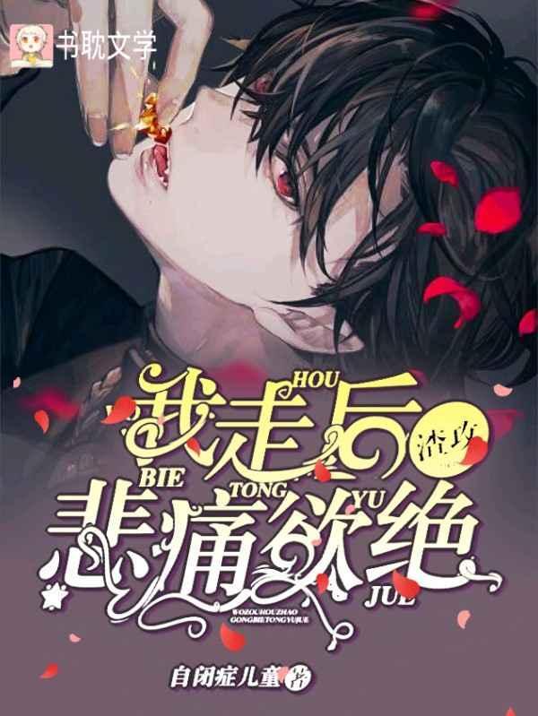 我走后陆先生悲痛欲绝封面
