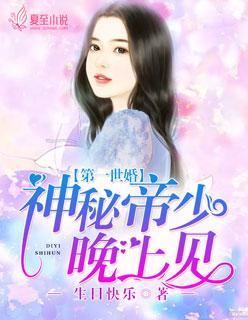 两情相悦正风华封面
