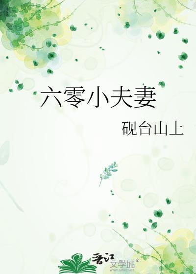 六零小夫妻封面