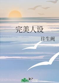 完美人设封面