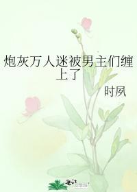炮灰万人迷被男主们缠上了封面