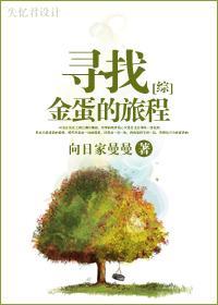 寻找金蛋的旅程封面