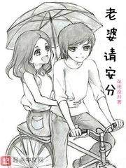 老婆请自重封面