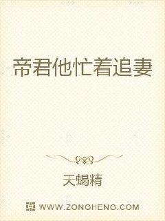 帝君他忙着追妻封面