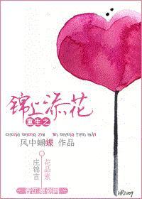 重生之锦上添花封面