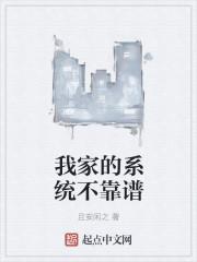 我家的系统不靠谱封面