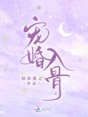 宠婚入骨封面