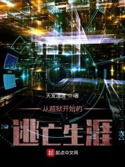 从越狱开始的逃亡生涯封面