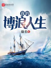 我的博浪人生封面