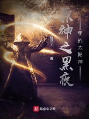 原神之黑夜里的太阳神封面