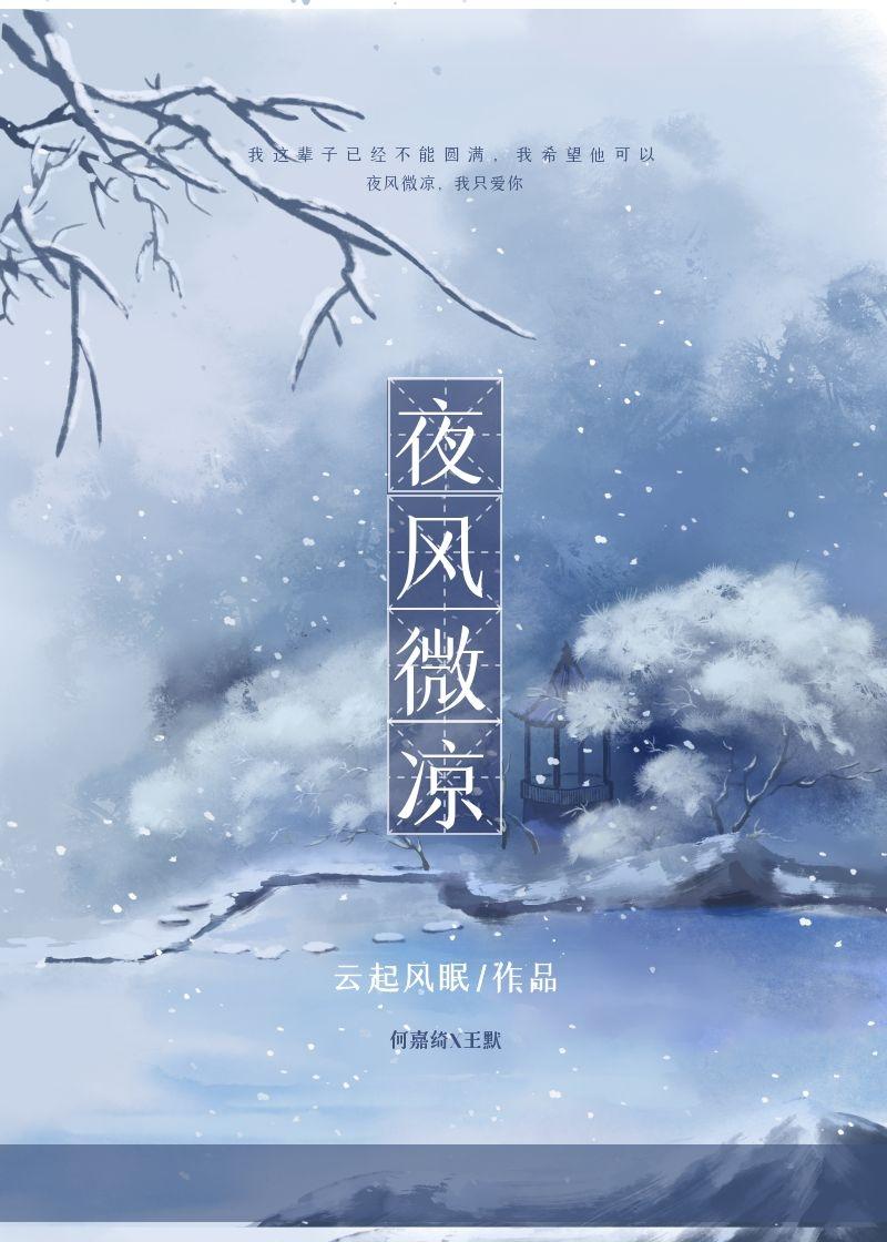 夜风微凉封面
