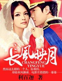 长风映月封面