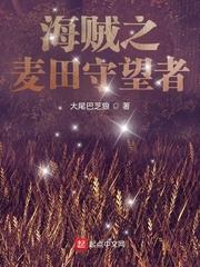 海贼之麦田守望者封面