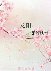 龙阳封面