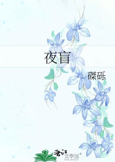 夜盲封面