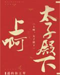 冲啊，太子殿下封面