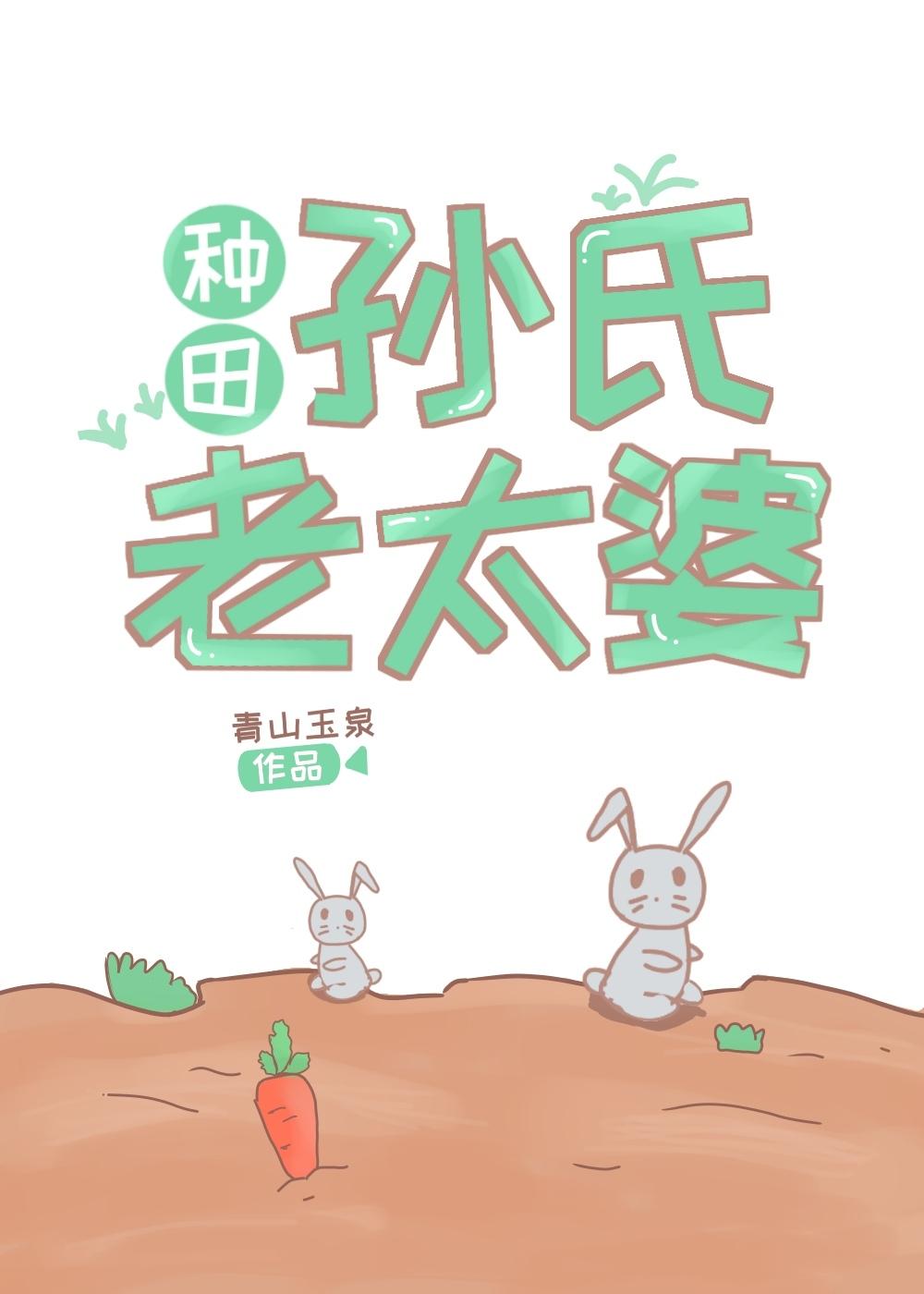 孙氏老太婆（种田）封面