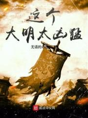 这个大明太凶猛封面